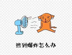热传：德约科维奇年薪TOP10(德约科维奇一年挣多少钱)|BB真人娱乐