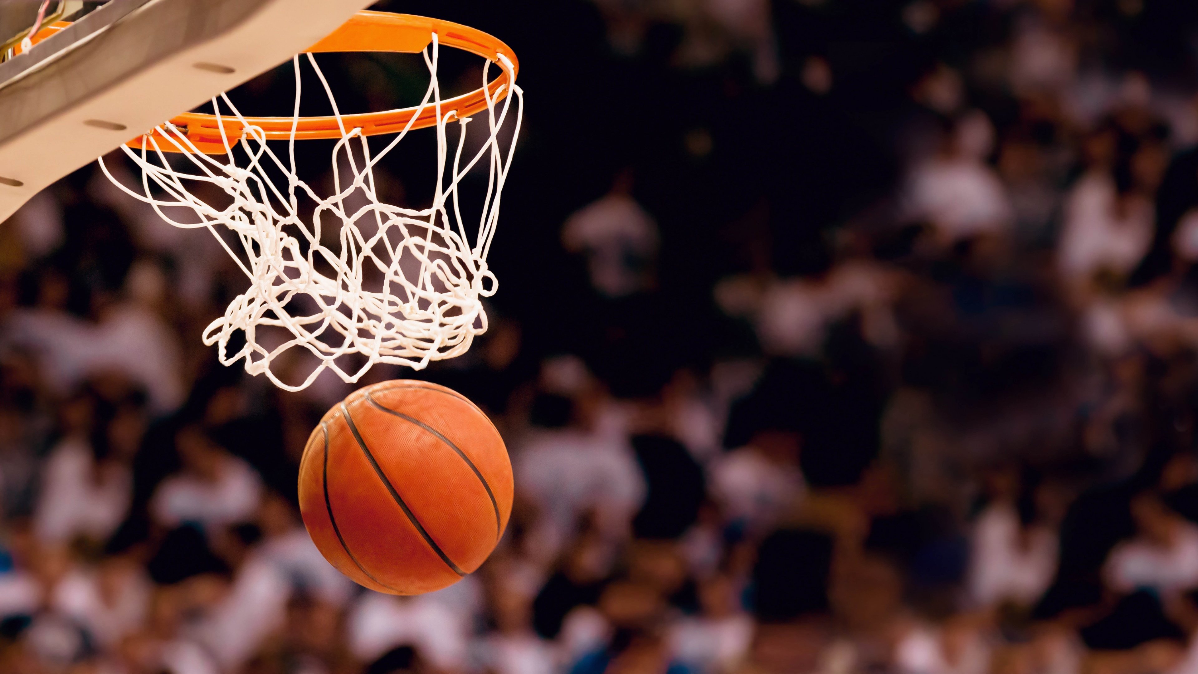 NBA常规赛冠军，被低估的荣耀，浸透血泪的征程